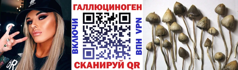 Галлюциногенные грибы Magic Shrooms  блэк спрут как войти  Ишим 